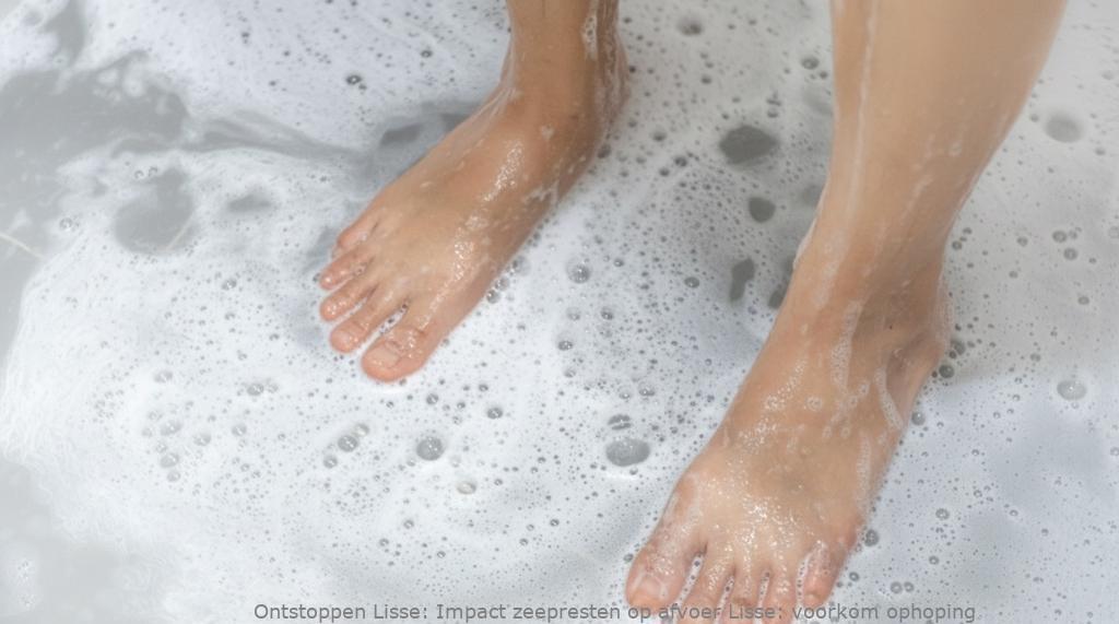 Impact zeepresten op afvoer Lisse: voorkom ophoping