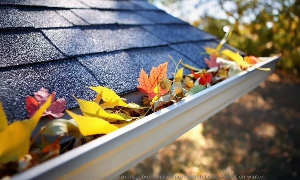 Seizoensgebonden rioolproblemen Lisse: herfst en winter