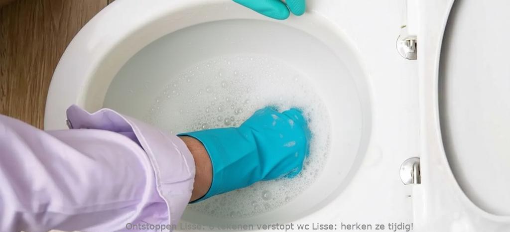 6 tekenen verstopt wc Lisse: herken ze tijdig!