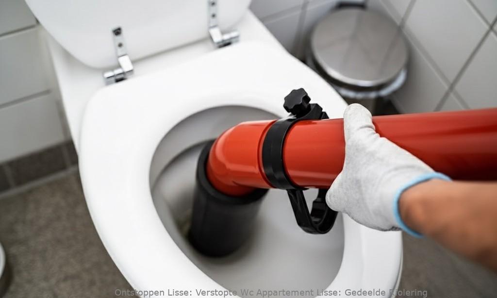 Verstopte Wc Appartement Lisse: Gedeelde Riolering